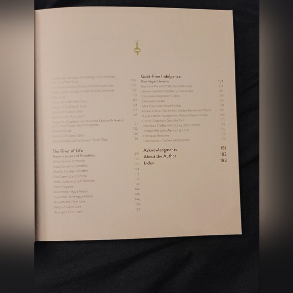 Modern Raw: Healthy Raw Vegan Meals for a Balanced Life by Rachel Carr - Picture 4 of 6